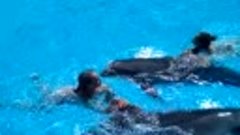 Катюша с дельфином в Севастопольском дельфинарии после предс...