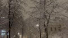 Снегопад в Михайловском саду