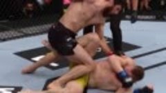 Лучшие финиши Магомеда Анкалаева в UFC