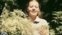 Людмила Сенчина - Полевые цветы (1983)