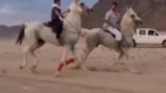 8_The-force-generated-when-an-Arab-child-rides-a-pur.mp4