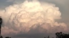 Cumulonimbus Convection Timelapse - HD