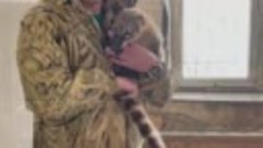 Животных, спасённых из зооуголка Новой Каховки, привезли в К...