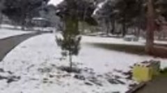 Снег в парке Чикаго возле 7 школы 11.01.2023