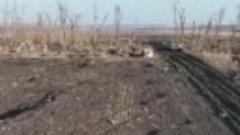 Т-90М Прорыв 3 мсд кошмарят украинскую пехоту в опорниках в ...