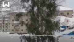 Праздничный муд-2022 визуализирует ёлка в балахнинском посёл...