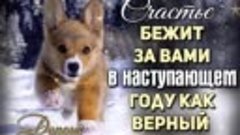 СЧАСТЬЯ ВСЕМ!!!