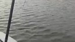 Рыбалка в чечерске