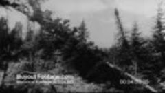 HD Stock Footage WWII German Invasion of Russia _ Our Russia...