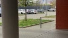 DUSSELDORF. YOU CANT EVEN TAKE ONE URINATE. GERMAN REFUGEE C...