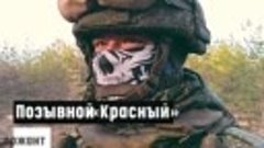 Командир орудия с позывным «Красный» награждён Георгиевским ...