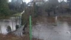 Наводнение в Латвии сегодня эвакуация в городе Екабпилс, про...