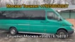 Москва Ташкент автобус такси хизмати Питер Ташкент такси авт...