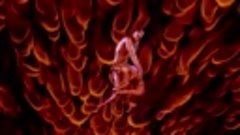 I&#39;M ON FIRE _ SASHA GRADIVA _ official music video