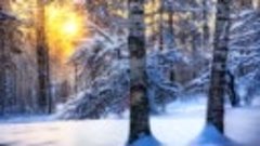 Невероятно красивая мелодия_ Сергей Чекалин -  Падал снег_(3...