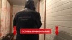 Овчарка ОТКУСИЛА ПОЛОВОЙ ОРГАН начальнику таможенной службы ...