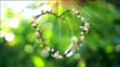 Весна, любовь, красота))))