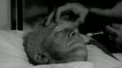 Alcohol and the Human Body (1949) Educational Film By Encycl...