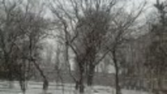VID_20180206_114336.3А снег идет а снег идет....
gp