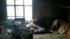 Двое детей погибли при пожаре в частном доме в Заларинском р...