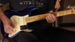 The Fender American Ultra Series • Wildwood Guitars