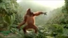 Funny Ape Song. Cartoon Parody. Dance Music Pop Songs. (Danc...