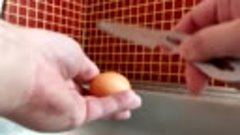 Эксперимент со спичками и яйцом. Жарим яйцо 🔥🥚
