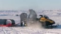Приключения подводных лодок США в Арктике ICEX-201
