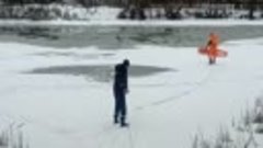 В Курске спасли собаку, которая провалилась под лед