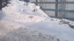 Иномарка уничтожила LADA в Новокузнецке