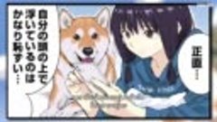 Sekai no Owari ni Shiba Inu to วันสิ้นโลกกับสุนัขชิบะของฉัน ...