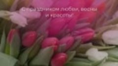 МИЛЫЕ ДАМЫ 💕  Коллектив Палитра Текстиль - трикотаж из Иван...
