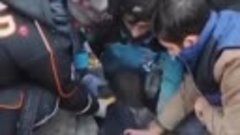 В Турции спасатели достали из-под завалов девочку