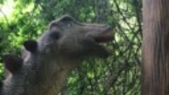 Зоопарк в Краснодаре / Уродливые динозавры (часть 2)