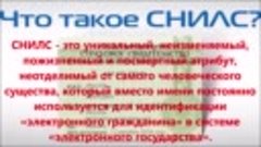 Что такое СНИЛС ? 💥 Цифровым рабам - цифровое имя !!! 