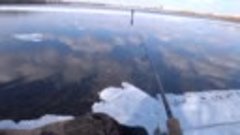 Рыбак спас мальчика на льдине в Киеве