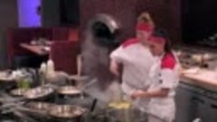 Hell&#39;s Kitchen S17E02 Raising the Bar - video Dailymotion_ma...
