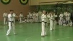 SC Bushido Mon Old DEMO Kyokushin Katas with Weapons (Bo, Kn...