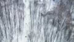 Заснеженный Чернигов с высоты  Автор видео: Vitaly Peretiatk...