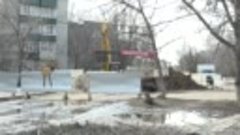 На ул.Быкова начался ремонт участка водоотведения
