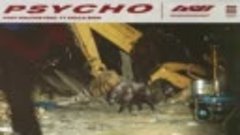 Post Malone Feat. Ty Dolla $ign - Psycho (Official Audio)