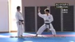 How to Shotokan vol 02