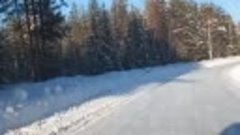 Дорога на никольск из Данилова 