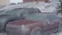 Владивосток, 20 ноября, угон машин: 0 штук 👌