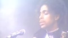 Prince Video Collection 1
