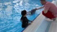 Плавание с дельфином Сеней - подарок от детей. Это было очен...