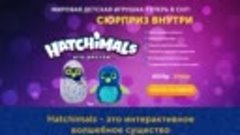 Hatchimals - интерактивная игрушка.