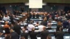 Елене Грицко аплодируют стоя в Совете Европы 28.03.2018