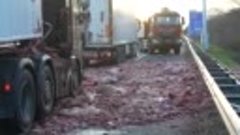 Vrachtwagen verliest 10 ton slachtafval op A67