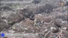 Укробоевики выложили видео, где видно как они занимают остав...